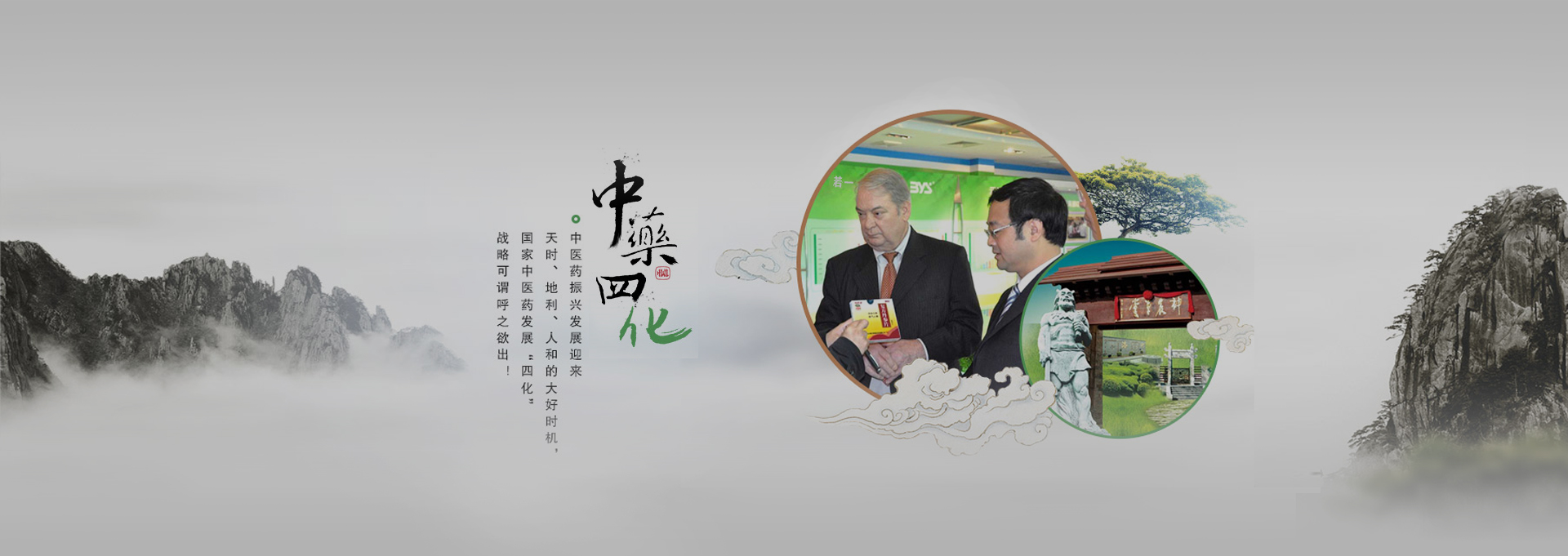 牡丹建站-若一医药科技