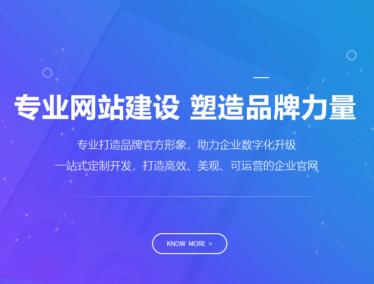 菏泽建站-专业网站建设 塑造品牌力量